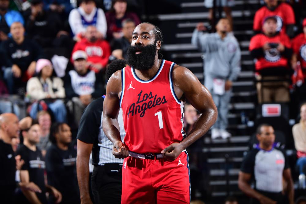 国家队因 国家队因